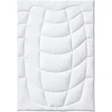 Kauffmann Wildseide leicht (Größe: 140x200 cm