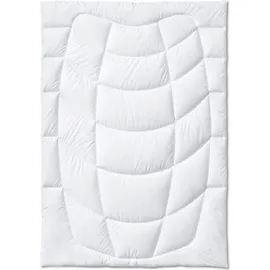 Kauffmann Wildseide leicht (Größe: 140x200 cm