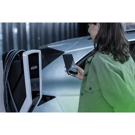 amperfied Connect.home 11 kW 5 m silber/schwarz