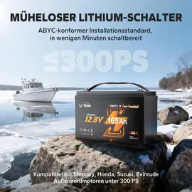 litime 12V 165Ah Dual-Purpose LiFePO4-Batterie mit Bluetooth 2,00 kWh