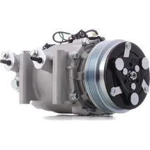 RIDEX 447K0320 Kompressor PAG 46 R134a mit PAG-Kompressoröl
