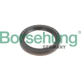 Borsehung Wellendichtring, Schaltgetriebeflansch