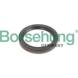 Borsehung Wellendichtring, Schaltgetriebeflansch