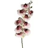Kunstorchidee Kunstzweig Phalaenopsis Orchidee SONGYA, pink-Creme, 105 cm Orchidee (Orchidee phalaenopsis), artplants rosa