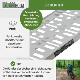 Baumarktplus TRUTZHOLM 1 x Auffahrrampe Klappbar 228 cm Grau