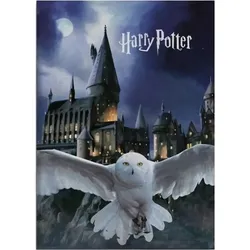 Harry Potter Fleecedecke 100 x 140 - Kariert Harry Potter