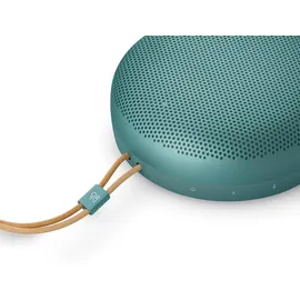 Bang & Olufsen Beosound A1 3. Gen Eucalyptus Green