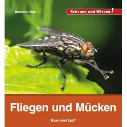 Fliegen und Mücken