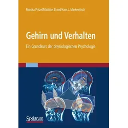 Gehirn und Verhalten