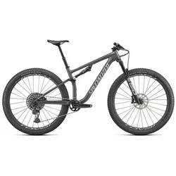 Specialized Epic Evo Expert Grau Modell Aktion