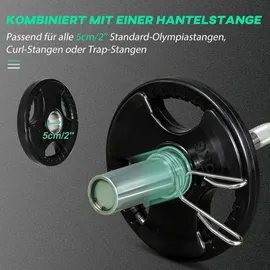 sportnow Hantelscheiben 2 x 5 KG gummierte Olympiascheiben für Krafttraining schwarz