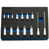 Capri Tools XZN Triple Square Bit Steckschlüsselsatz 14-teilig (XZN Bit Set/Master)