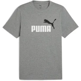Puma Graphics 2 Color No. 1 Logo Tee grau M