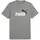 Puma Graphics 2 Color No. 1 Logo Tee grau M