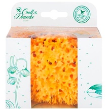 Croll & Denecke Naturschwamm in umweltfreundlichem Geschenkset