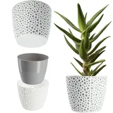 Kadax 15 x 15 x 12,5 cm Grau