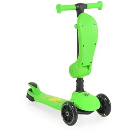 Moni Kinderroller 2 in 1 Grün