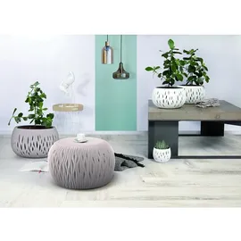 Prosperplast Sandy Bowl Ø 29 x 19 cm grau