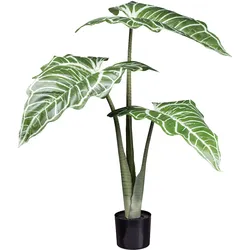 Künstliche Zimmerpflanze CREATIV GREEN "Colocasia White Lava", grün, H:130cm, Kunstpflanzen, mit außergewöhnlichem Blattwerk