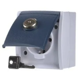 Busch-Jaeger Schuko-Steckdose 1 St. Grau/Blaugrün