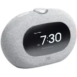 JBL Horizon 3 grau