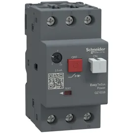 Schneider Electric GZ1E08