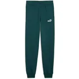 Puma weiß|grün 152