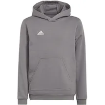 Adidas Entrada 22 Sweat Hoodie, Team Grey Four, 116