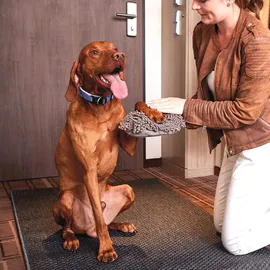 Wolters Cleankeeper Dry Glove 26 x 20 cm, dunkelgrau