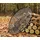 Cook King Grillrost aus Naturstahl 70 cm mit 4 Griffen