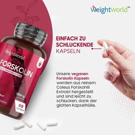 WeightWorld Forskolin 500 mg Kapseln 60 St.