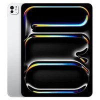 Apple iPad Pro 13" (7. Generation 2024) 1 TB Wi-Fi + Cellular silber