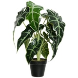 Kunstpflanze ALOCASIA, schwarzer Kunststofftopf - H 50 cm