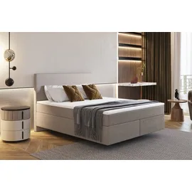 Fun Möbel Boxspringbett Schlafzimmerbett DEVIL Delux 200x200cm in Stoff Scala Braungrau - Grau