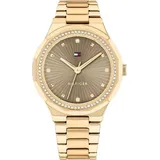 Tommy Hilfiger 1782725 - 27 mm)