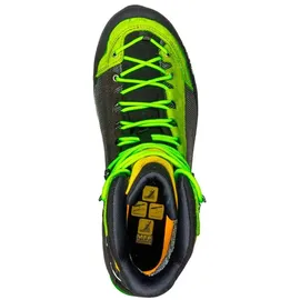 Salewa Crow GTX Herren Cactus/Sulphur Spring 42