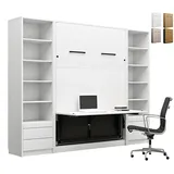 QMM TraumMöbel Schrankbett Wandbett GN120x200 mit Schreibtisch, LED & 2 Regalen vertikal Farbauswahl
