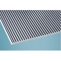 Scobalit Doppelstegplatten 16 mm Klar Anthrazit Gestreift 980 x