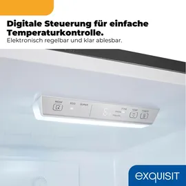 Exquisit KGC5400-130-NF-040D Kühl-Gefrierkombination (400 l, 1860 mm hoch, Inoxlook)