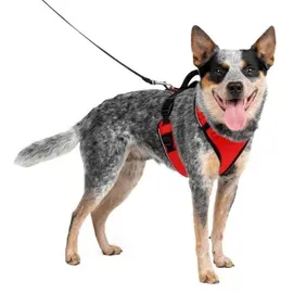 PetSafe EasySport Hundegeschirr Rot