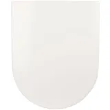 Villeroy & Boch 9M68S101 Sitz | WC-Brille aus Duroplast-Kunststoff | Soft-Close-Absenkautomatik I Take-Off I Edelstahl-Scharnier | Klodeckel, Subway 2.0