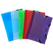 Exacompta Sammelmappe 12x16 mehrfarbig
