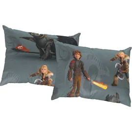 Wirth Kissenbezug Dragons 40 x 60 cm Grau