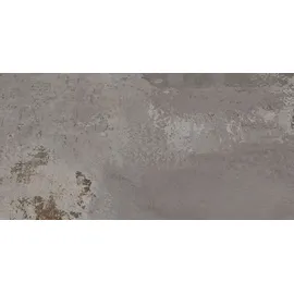 Euro Stone Terrassenplatte Feinsteinzeug Metallic grau-braun 60 x 120 x 2 cm