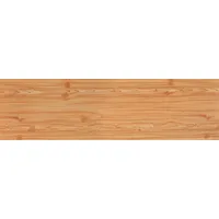 OSMO Sichtschutzelement 180 x 179 cm Lärche Holz