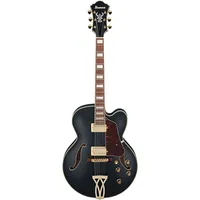 IBANEZ E-Gitarre Ibanez Artcore AF75G-BKF E Gitarre NEU