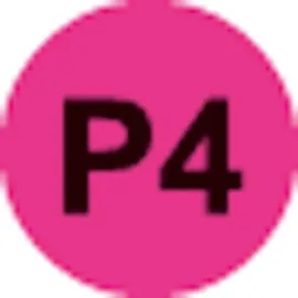 Rexel Aktenvernichter ProMax RPX612, P4