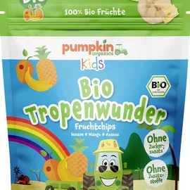 pumpkin organics Bio Tropenwunder Fruchtchips