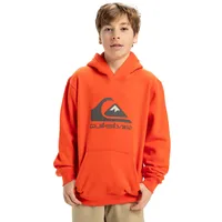 QUIKSILVER »Big Logo« Quiksilver Tigerlily