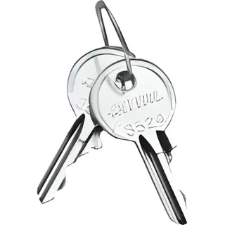 Rittal SZ 2532.000 Schaltschrankschlüssel Sicherheitsschließung Stahl 2 St.